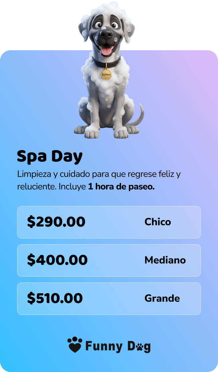 Spa Day, baño y cuidado para tu perro