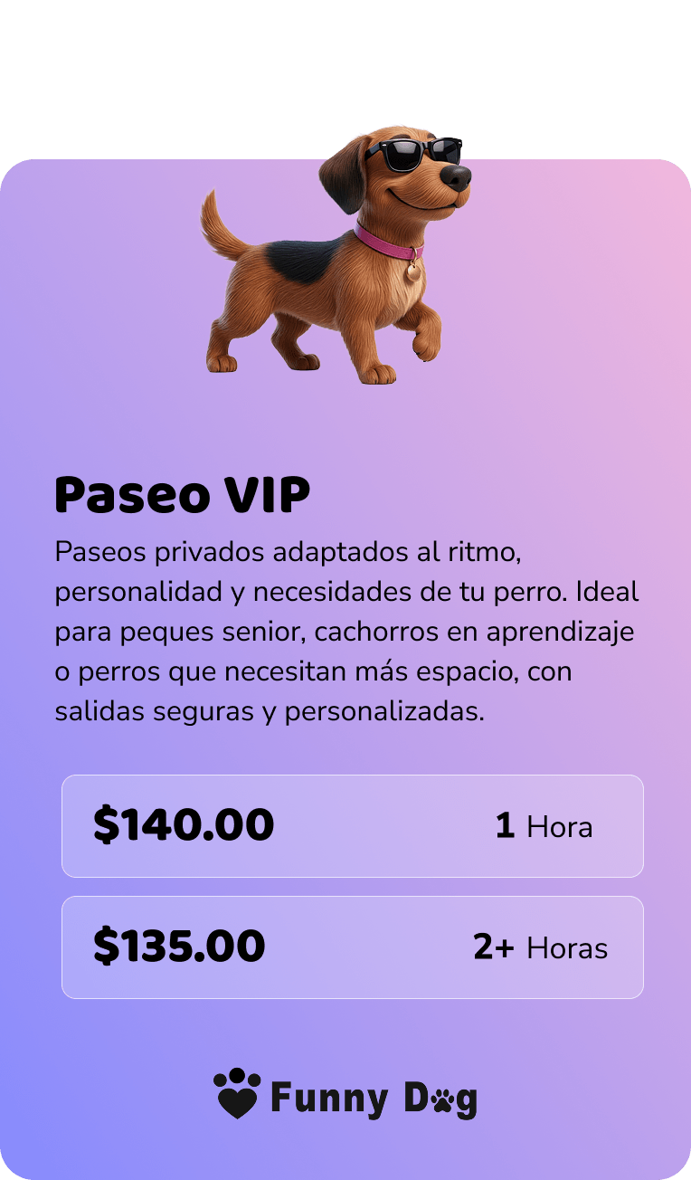 Paseo VIP, paseo individual para tu perro
